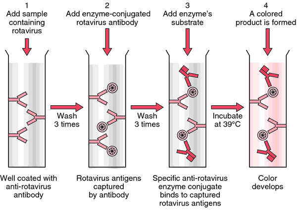 707_Virus assay.png